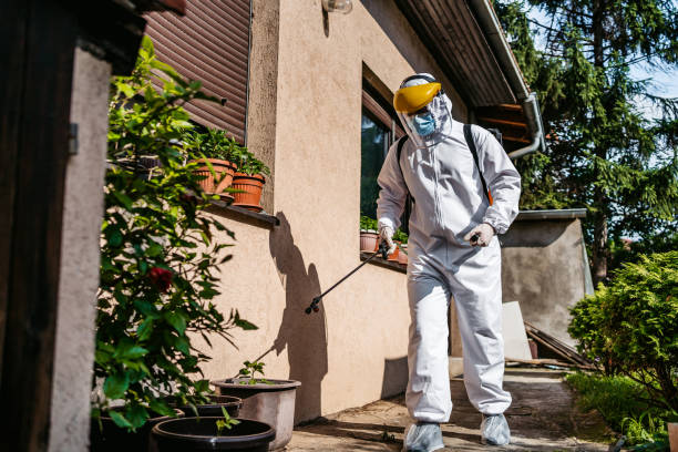 Best Residential Pest Control  in Socastee, SC