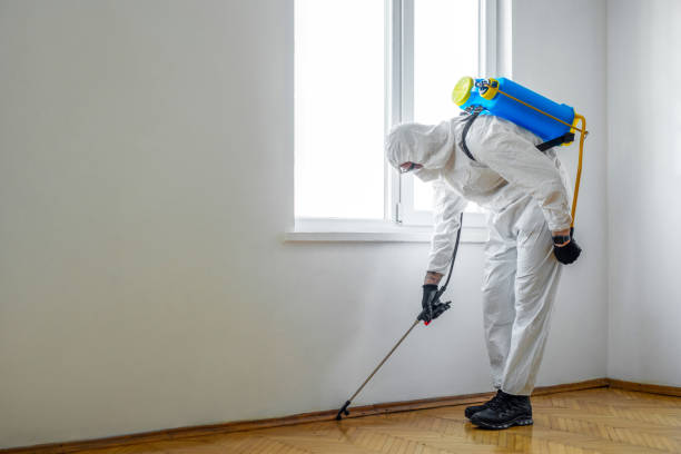 Best Best Pest Control Companies  in Socastee, SC