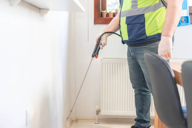 Reliable Socastee, SC Pest Control Solutions