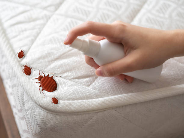Best Commercial Pest Control Services  in Socastee, SC
