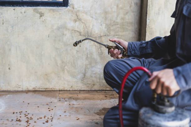 Best Local Pest Control Services  in Socastee, SC